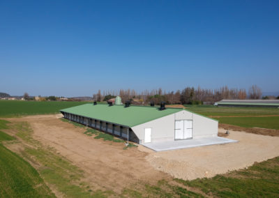 Bâtiment d’élevage pour 10 800 poulettes au sol, nouvelles normes BIO