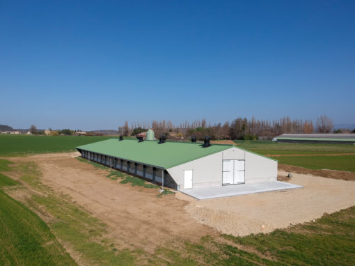 Bâtiment d’élevage pour 10 800 poulettes au sol, nouvelles normes BIO